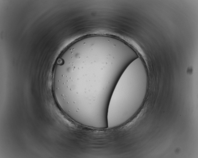 X0000102250839200807250859
