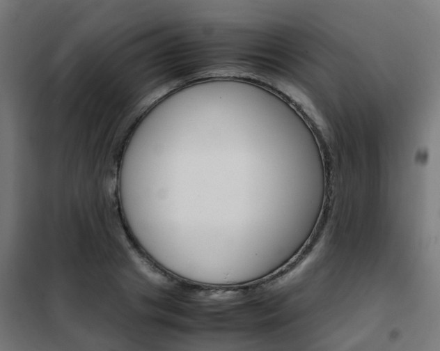 X0000102250841200807250859
