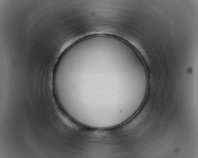 X0000102250842200807250859