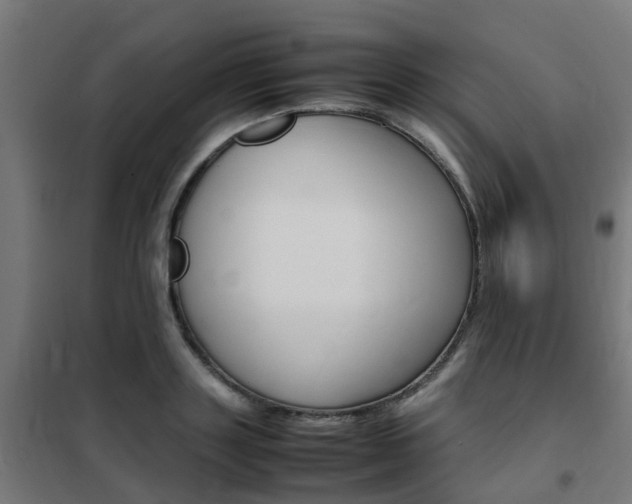 X0000102250843200807250859