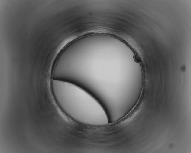 X0000102250845200807250859