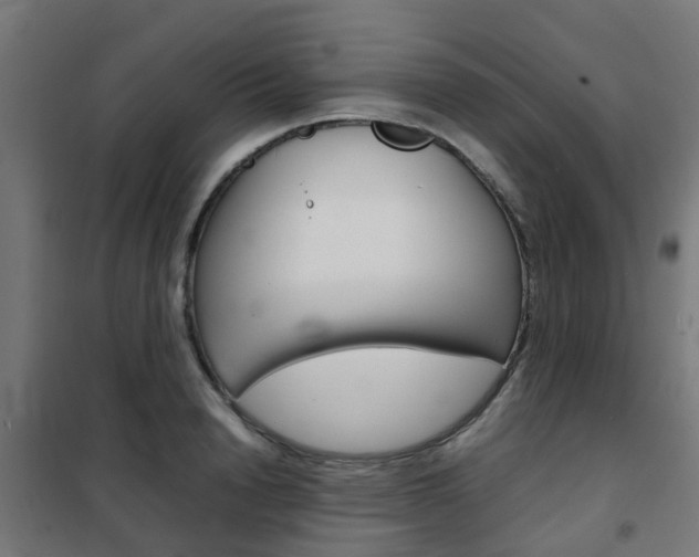 X0000102250846200807250859