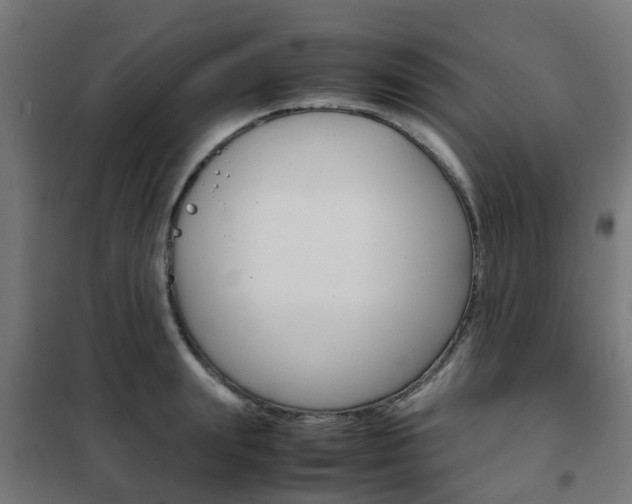 X0000102250847200807250859