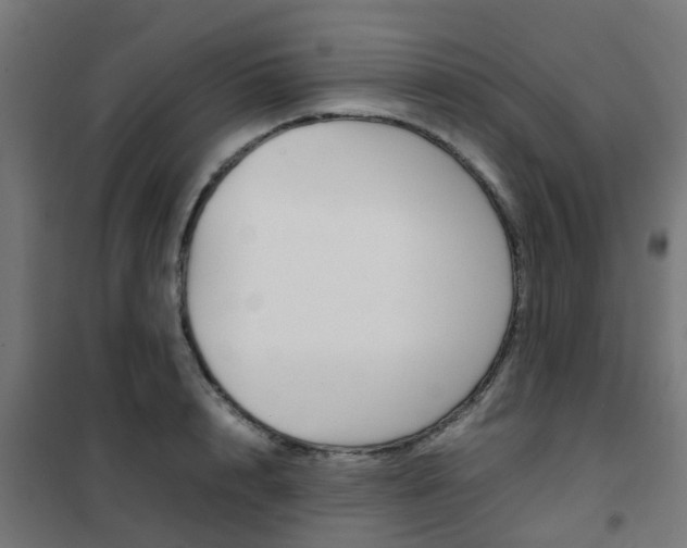 X0000102250848200807250859