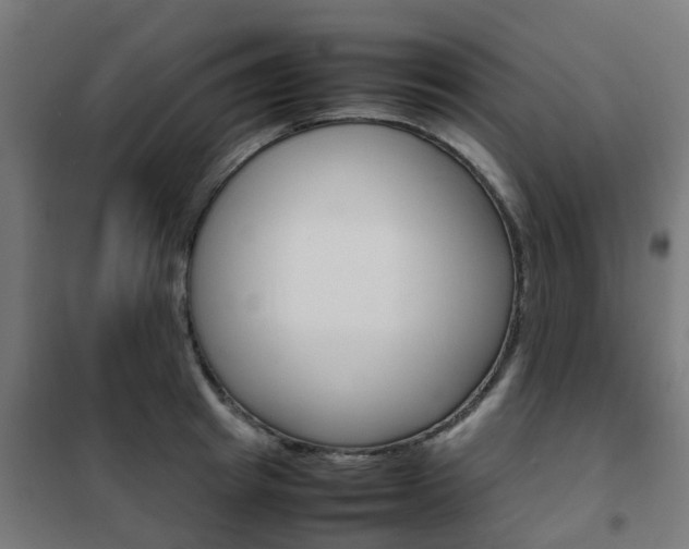 X0000102250849200807250859