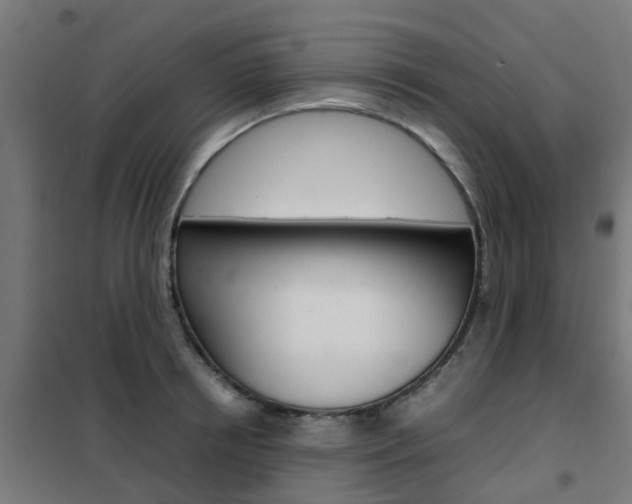 X0000102250850200807250859