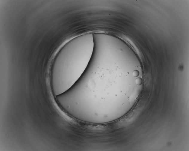 X0000102250851200807250859