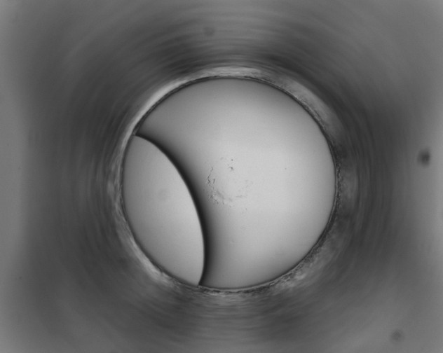 X0000102250852200807250859