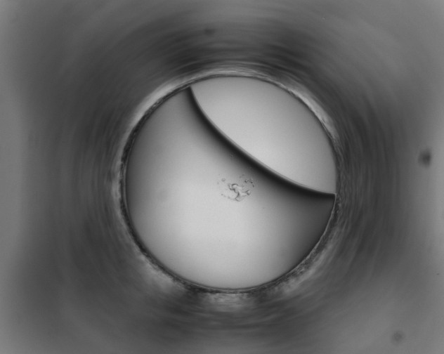 X0000102250853200807250859