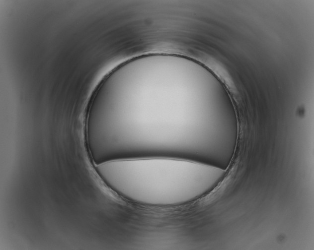 X0000102250854200807250859