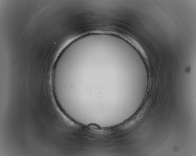 X0000102250855200807250859