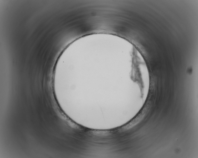 X0000102250856200807250859