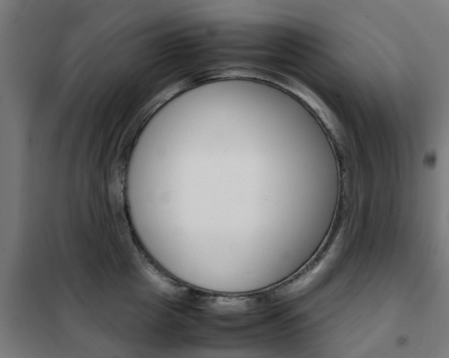 X0000102250857200807250859