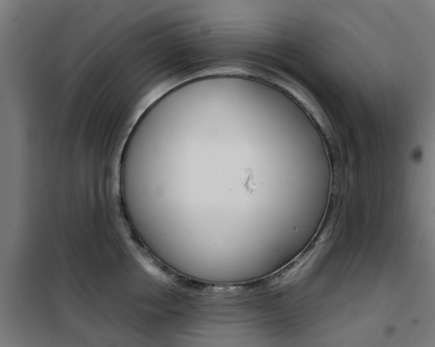 X0000102250858200807250859