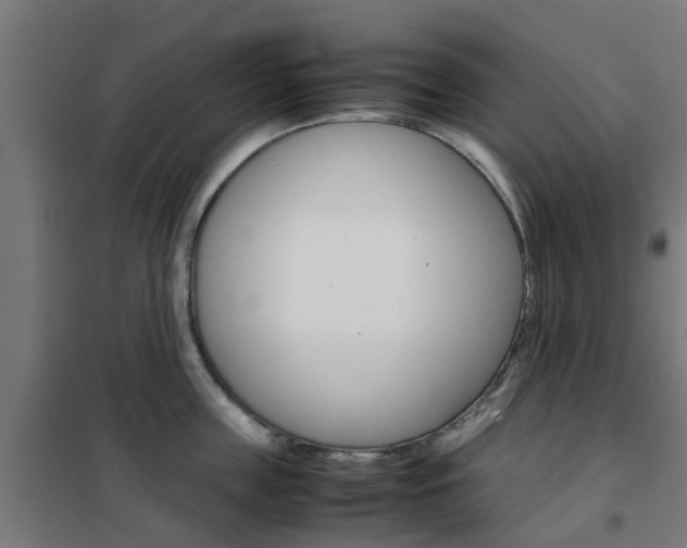 X0000102250859200807250859