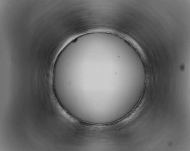 X0000102250860200807250859