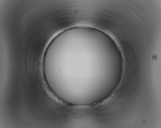X0000102250864200807250859