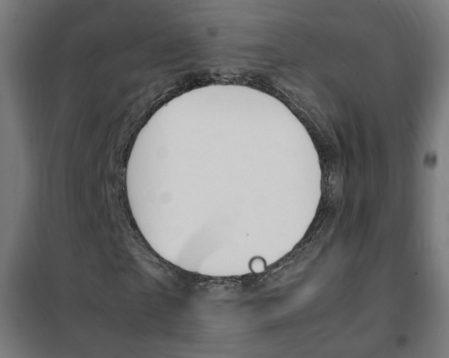 X0000102250865200807250859