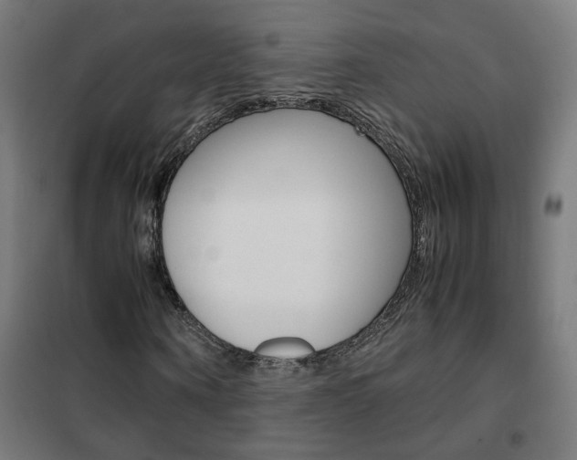 X0000102250866200807250859