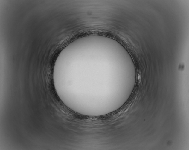 X0000102250867200807250859