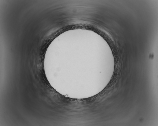 X0000102250869200807250859