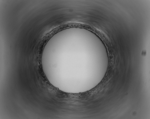X0000102250870200807250859