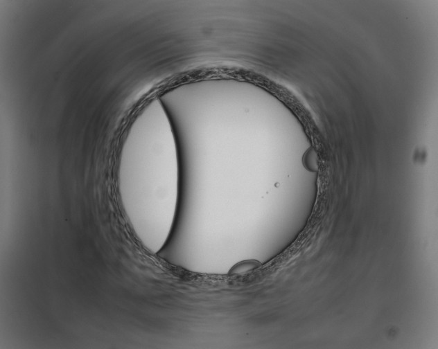 X0000102250871200807250859