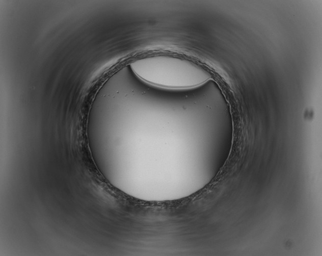 X0000102250872200807250859