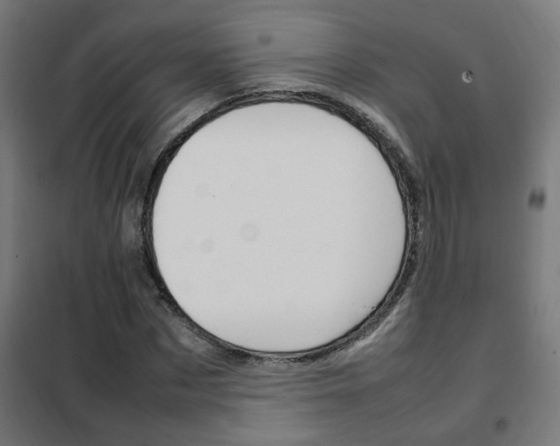 X0000102250873200807250859