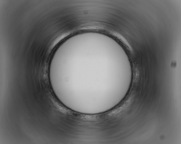X0000102250874200807250859