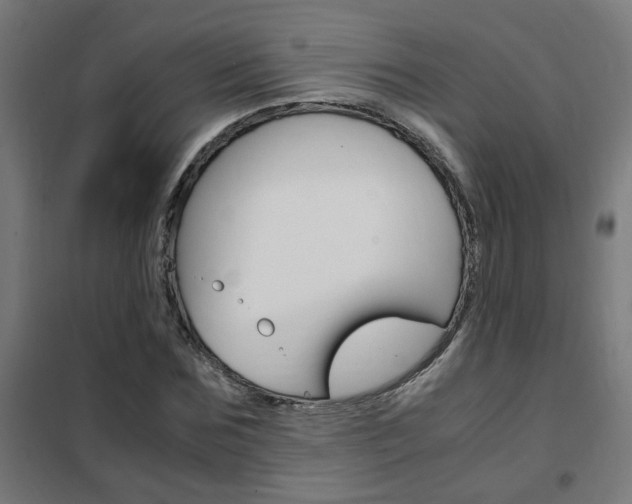 X0000102250875200807250859