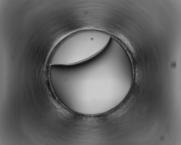 X0000102250876200807250859