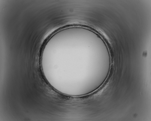 X0000102250877200807250859