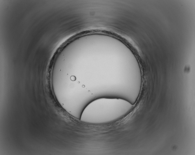 X0000102250879200807250859
