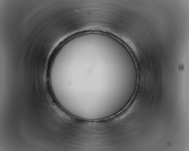 X0000102250880200807250859