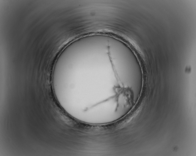 X0000102250881200807250858