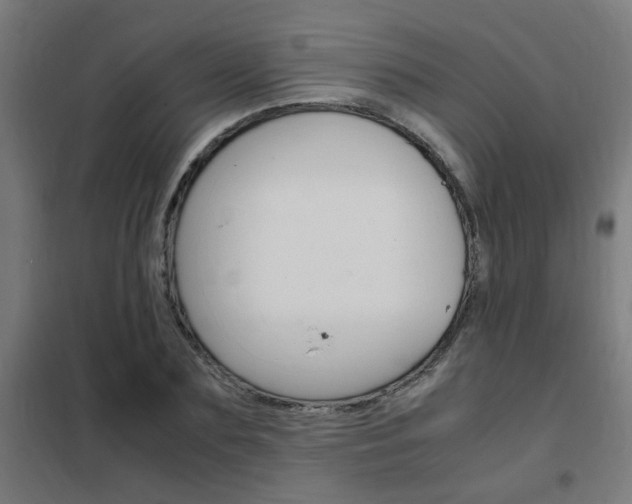 X0000102250883200807250858