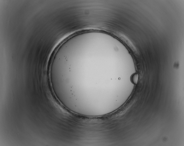 X0000102250884200807250858