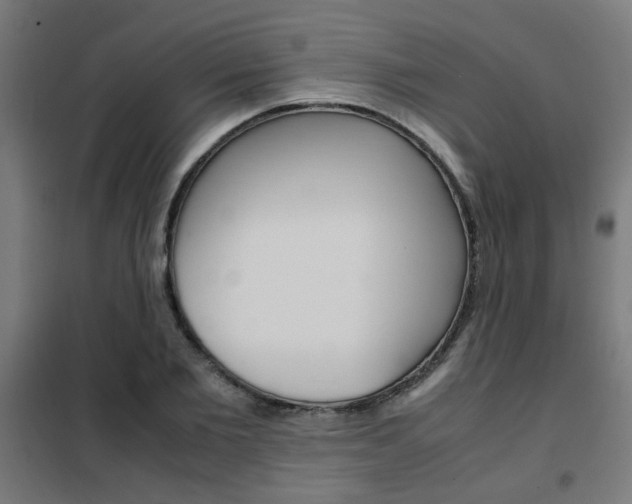 X0000102250885200807250858