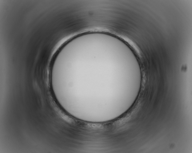 X0000102250886200807250858