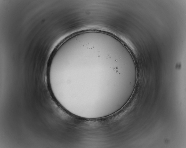 X0000102250888200807250858