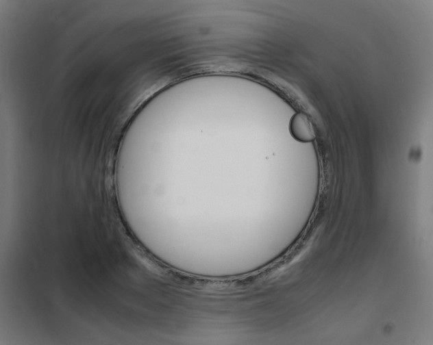 X0000102250889200807250858