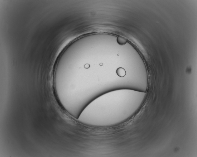 X0000102250891200807250858