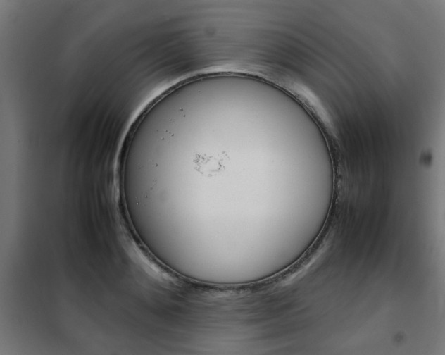 X0000102250892200807250858