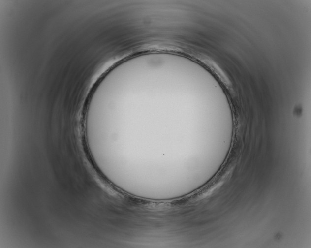 X0000102250893200807250858