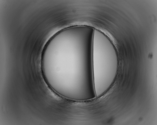 X0000102250894200807250858