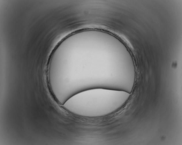 X0000102250895200807250858