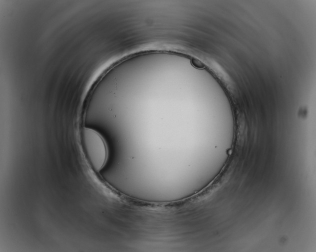 X0000102250896200807250858