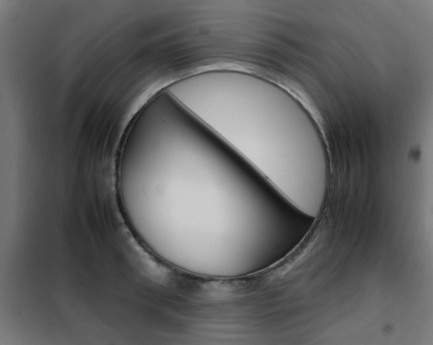 X0000102250898200807250858