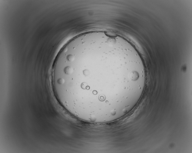 X0000102250899200807250858
